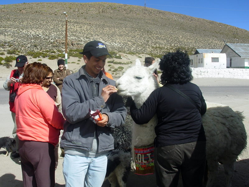 Foto de Arica (Altiplano), Chile