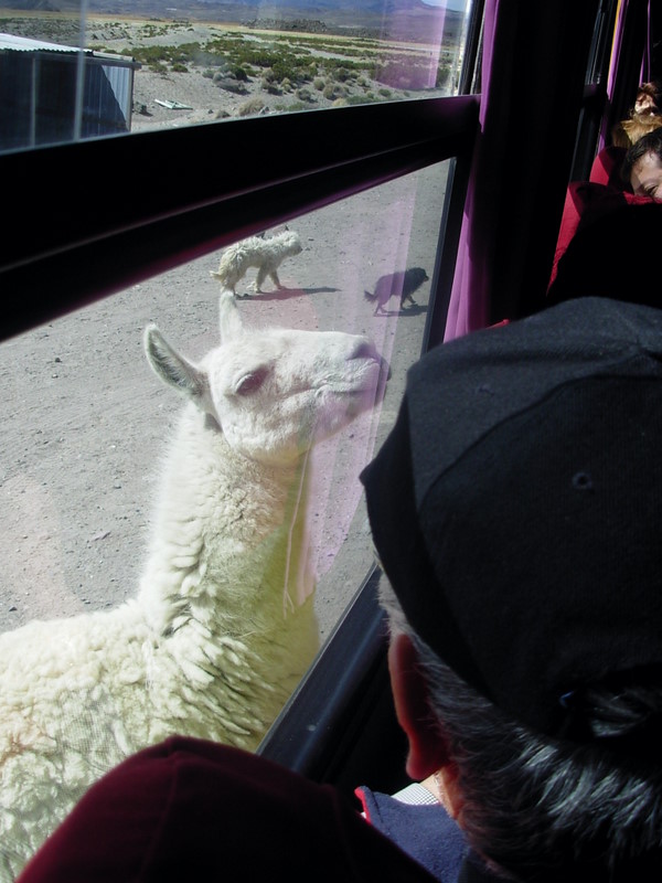 Foto de Arica (Altiplano), Chile