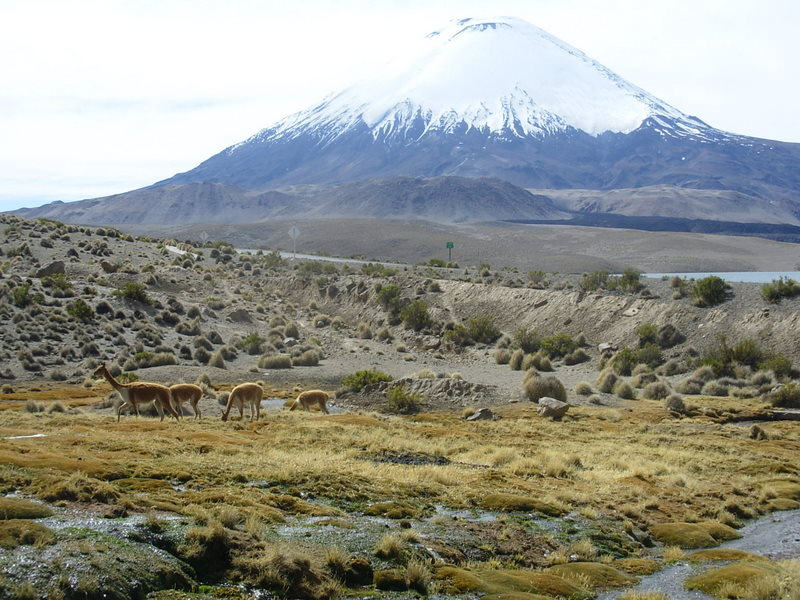 Foto de Arica (Altiplano), Chile