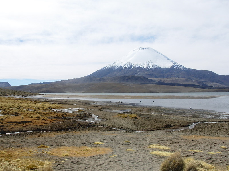 Foto de Arica (Altiplano), Chile