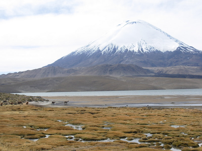 Foto de Arica (Altiplano), Chile