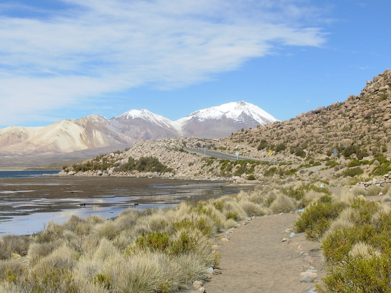 Foto de Arica (Altiplano), Chile