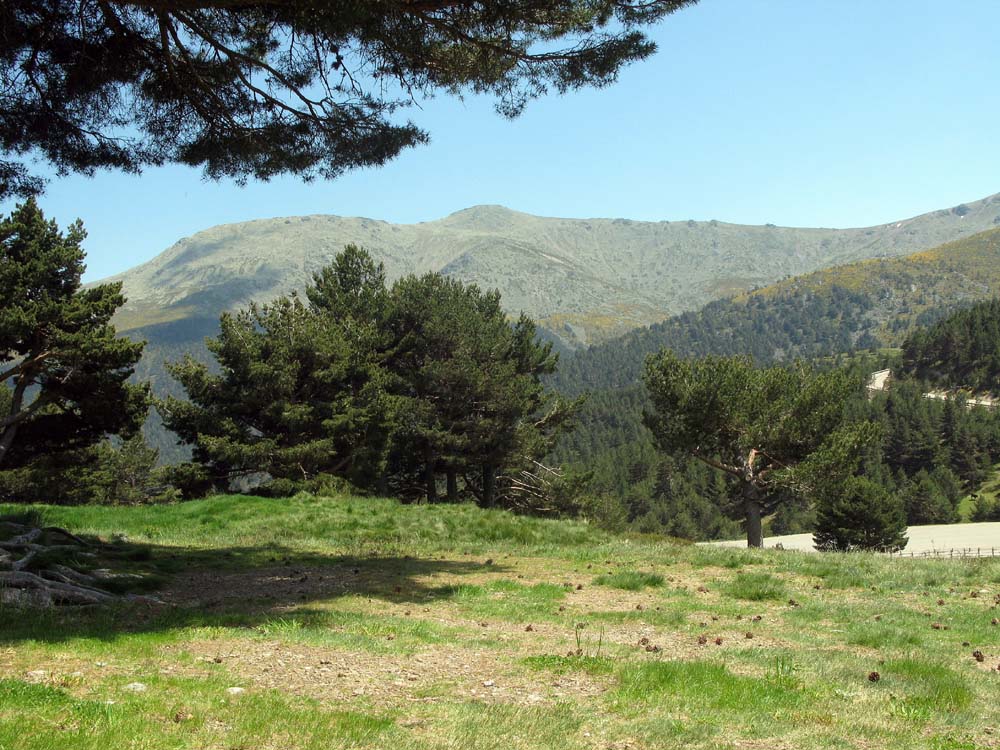 Foto de Sierra de Guadarrama (Madrid), España