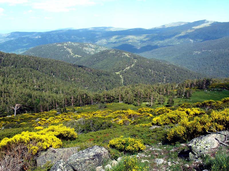 Foto de Sierra de Guadarrama (Madrid), España