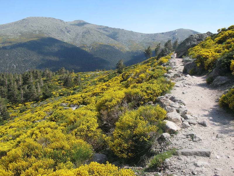 Foto de Sierra de Guadarrama (Madrid), España