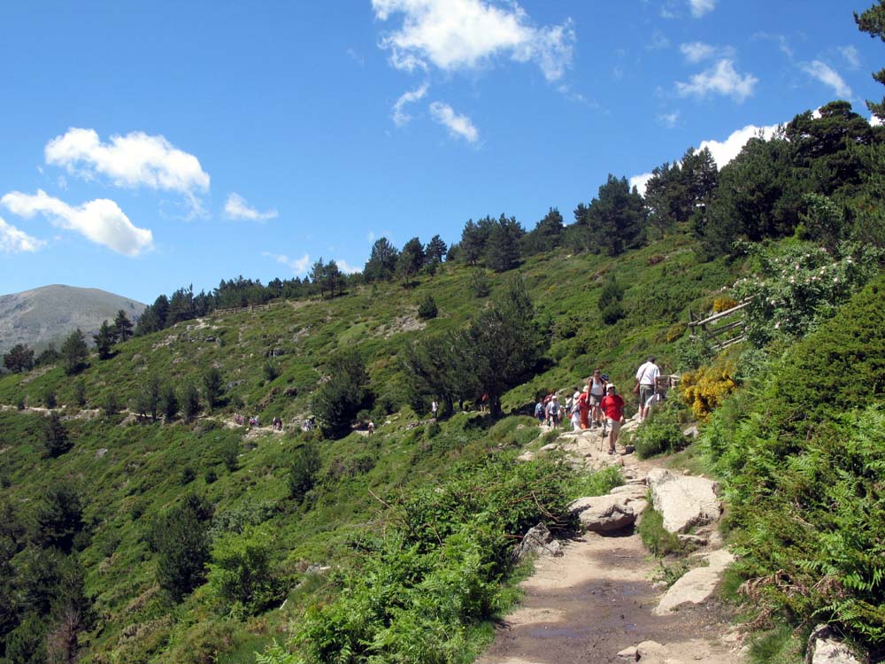 Foto de Sierra de Guadarrama (Madrid), España