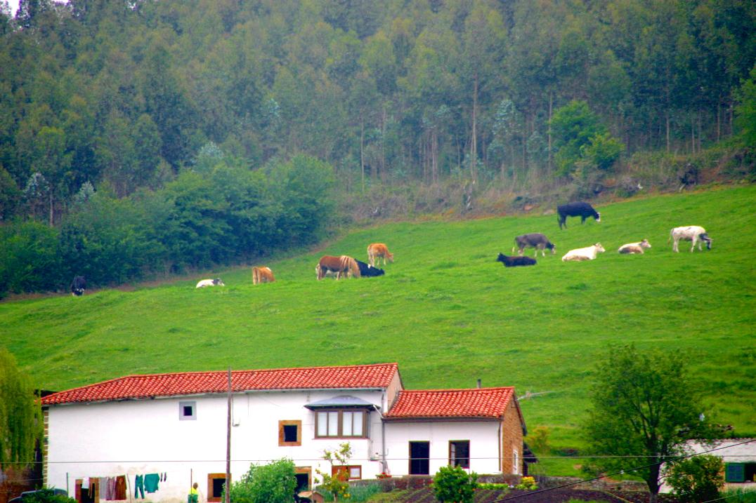 Foto de Cabezón de la Sal (Cantabria), España