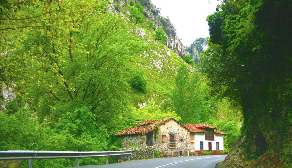 Foto de La Hermida (Cantabria), España