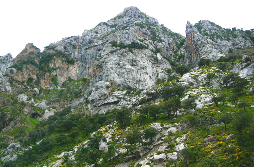 Foto de La Hermida (Cantabria), España