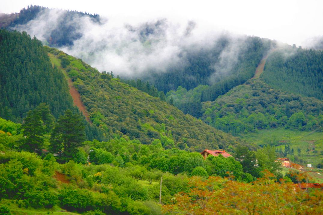 Foto de La Hermida (Cantabria), España