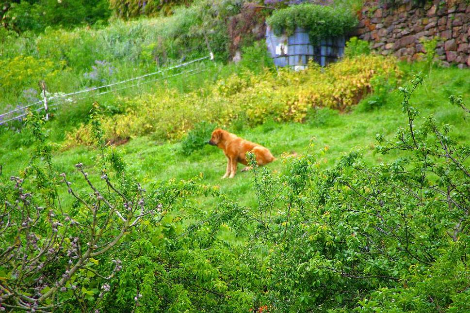 Foto de Piasca (Cantabria), España