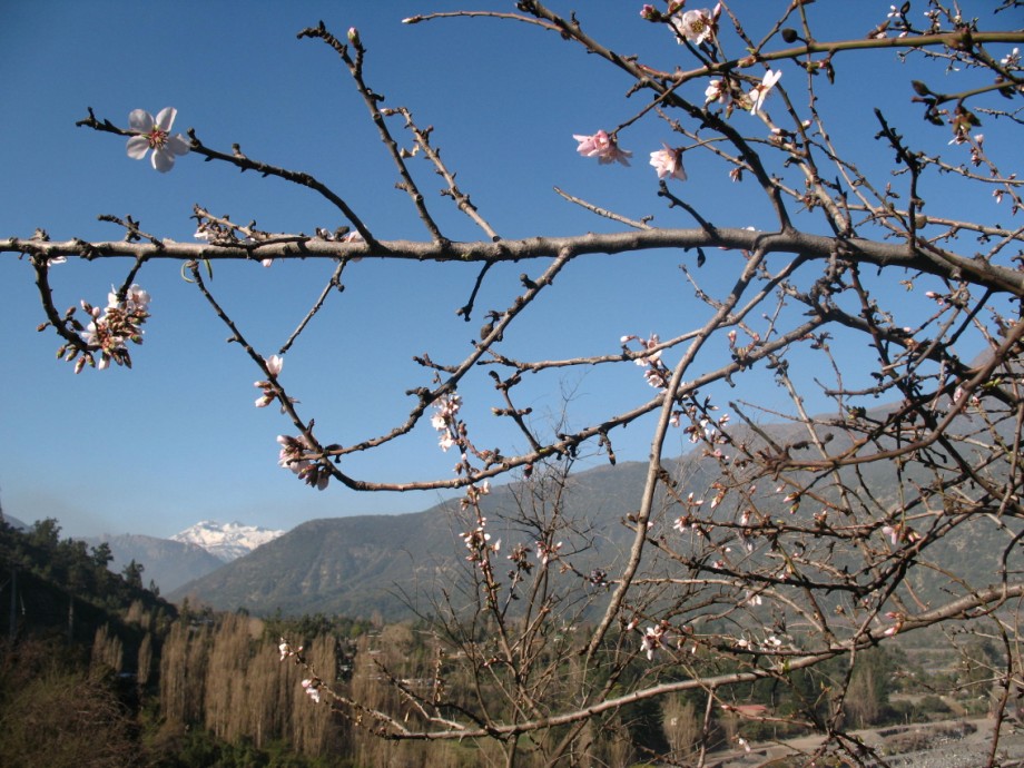 Foto de Cajon de Maipo, Chile