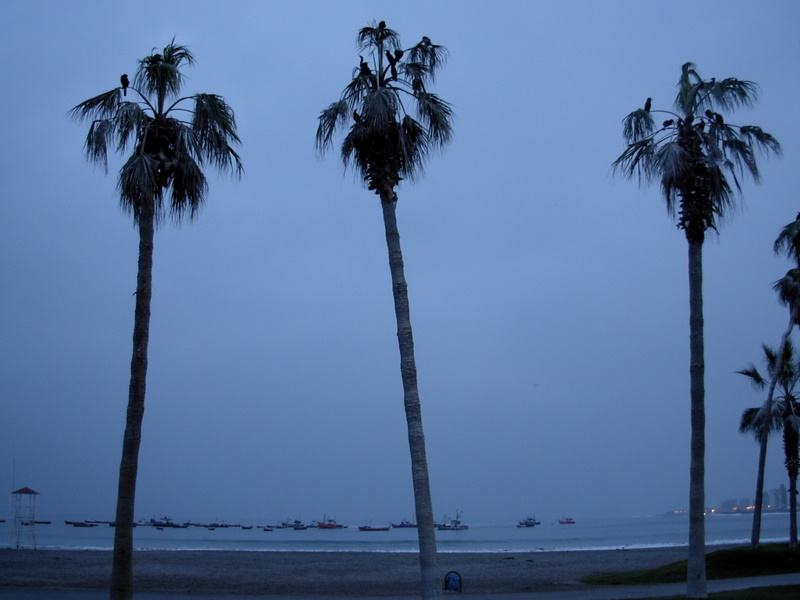 Foto de Iquique, Chile