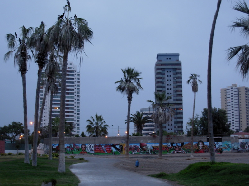 Foto de Iquique, Chile