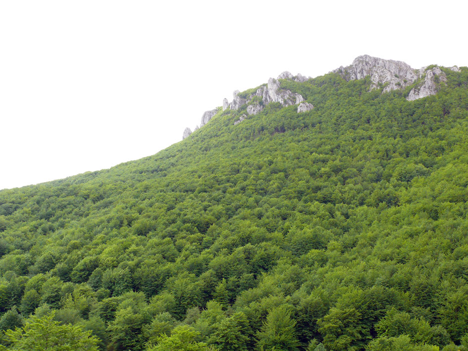 Foto de Zegama (Gipuzkoa), España