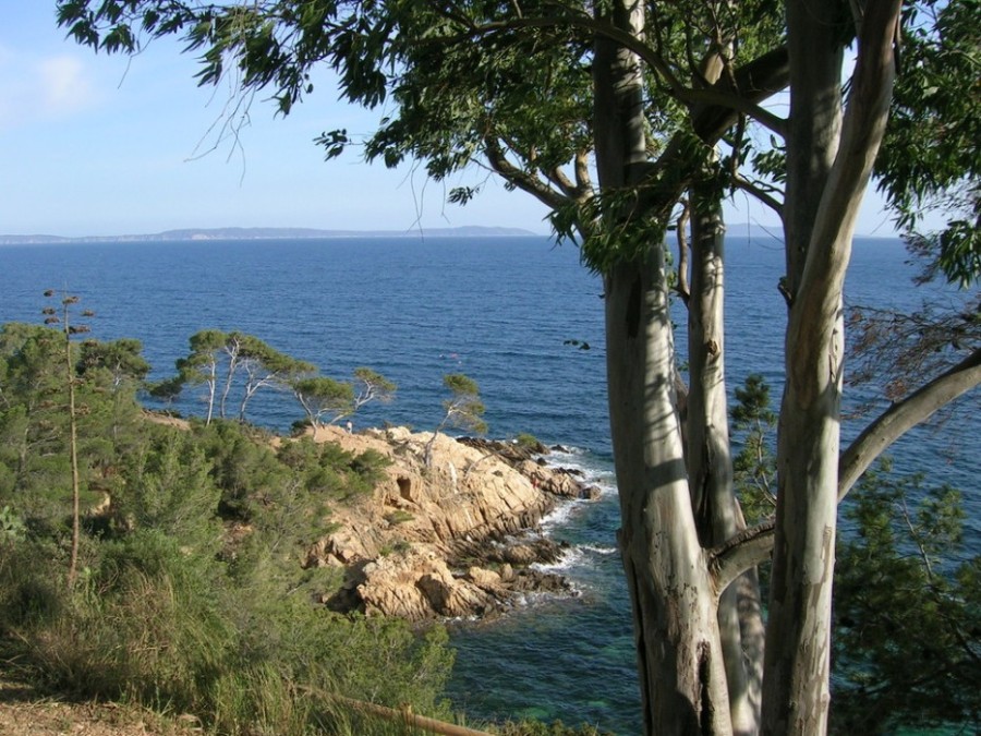 Foto de Côte dAzur, Francia