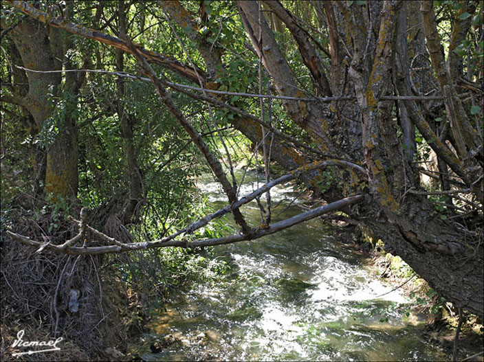 Foto de Somaen (Soria), España