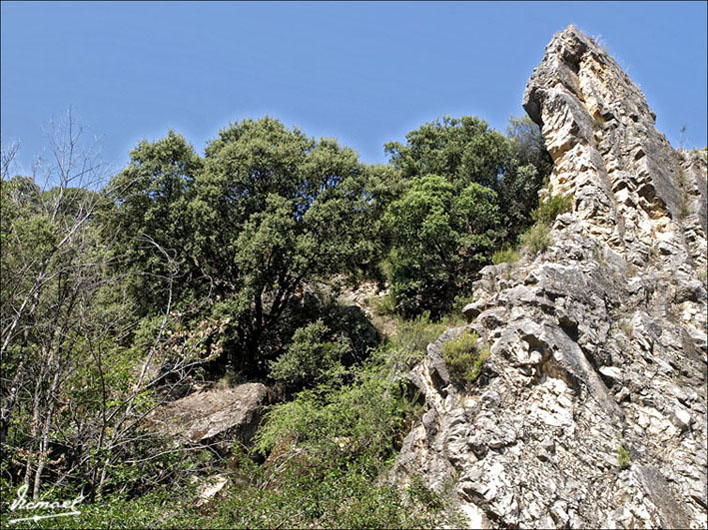 Foto de Somaen (Soria), España