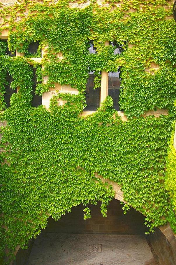 Foto de Olite (Navarra), España