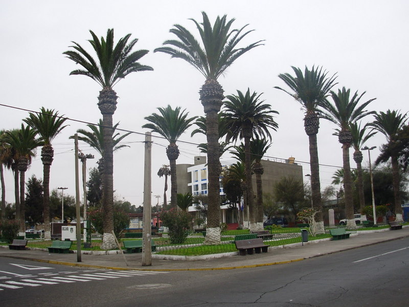 Foto de Arica, Chile