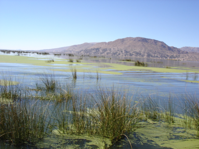 Foto de Lago Titicaca, Perú