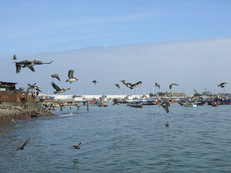 Foto de Iquique, Chile