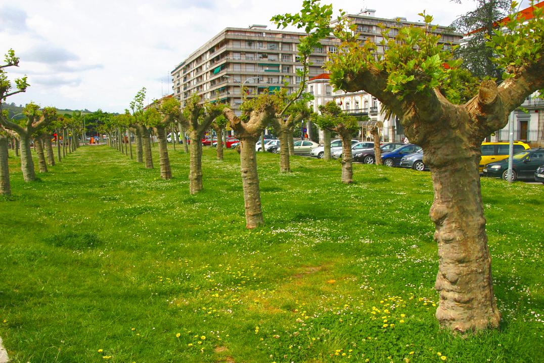 Foto de Laredo (Cantabria), España