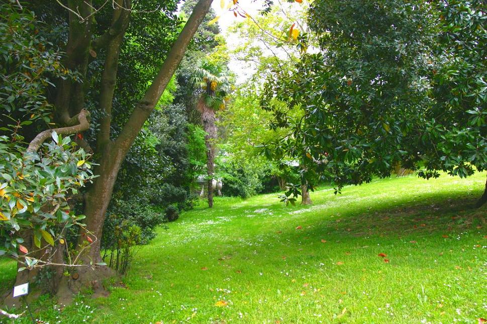 Foto de Limpias (Cantabria), España