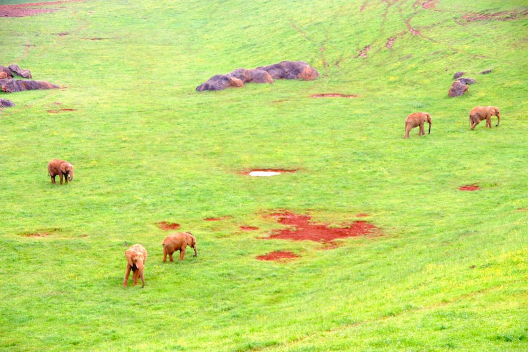 Foto de Cabárceno (Cantabria), España