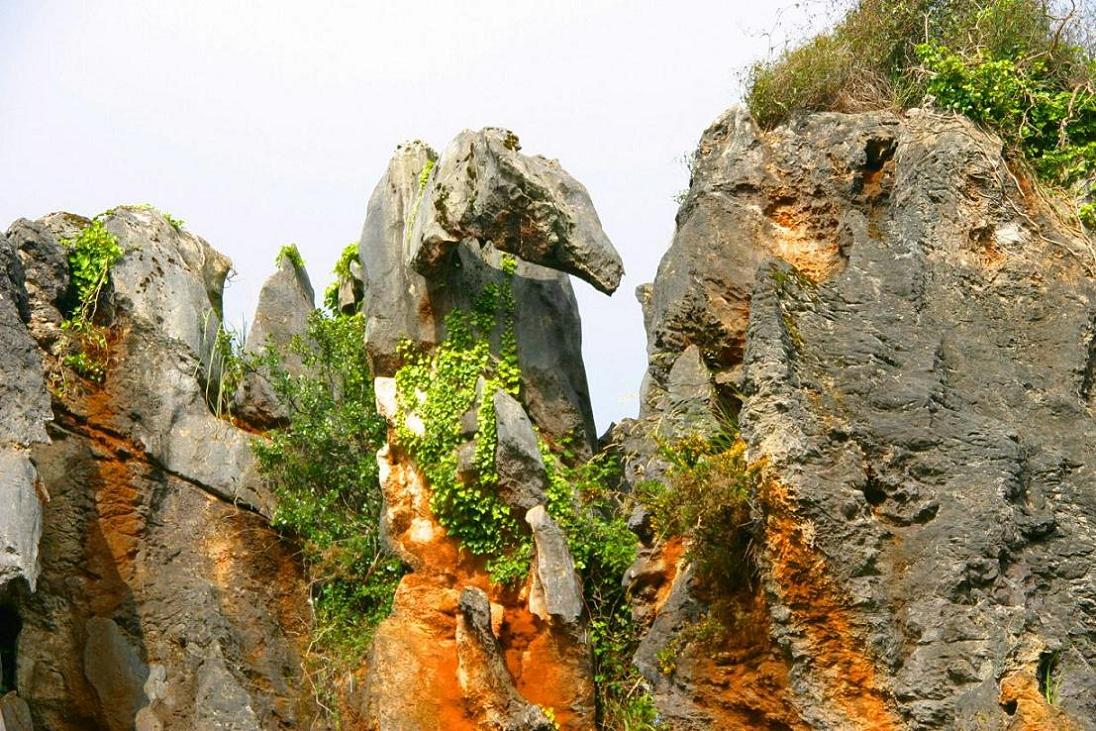 Foto de Cabárceno (Cantabria), España