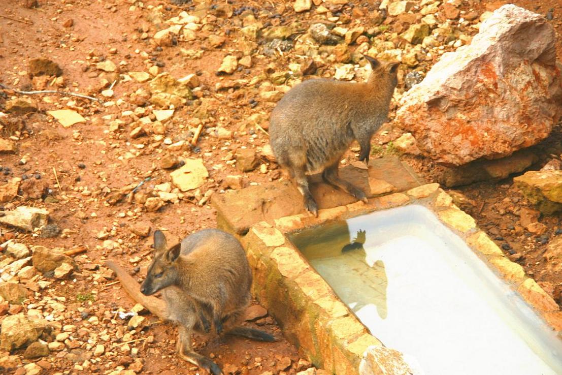 Foto de Cabárceno (Cantabria), España