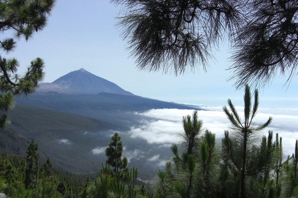 Foto de Tenerife (Santa Cruz de Tenerife), España