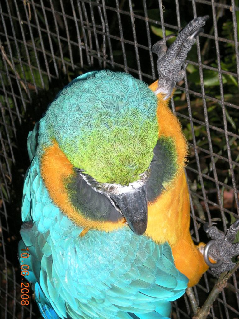 Foto de Iguazú (Misiones), Argentina