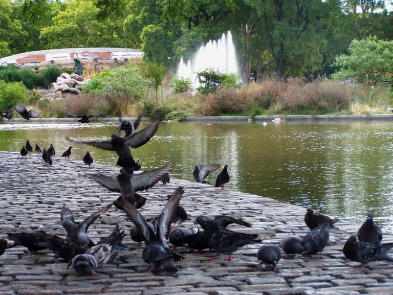 Foto de Buenos Aires, Argentina