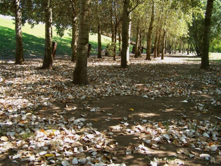 Foto de Buenos Aires, Argentina