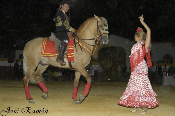 Foto de Jerez de la Frontera (Cádiz), España