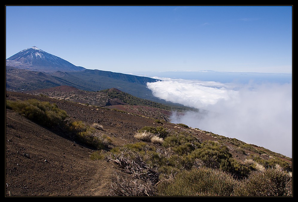 Foto de Tenerife (Santa Cruz de Tenerife), España