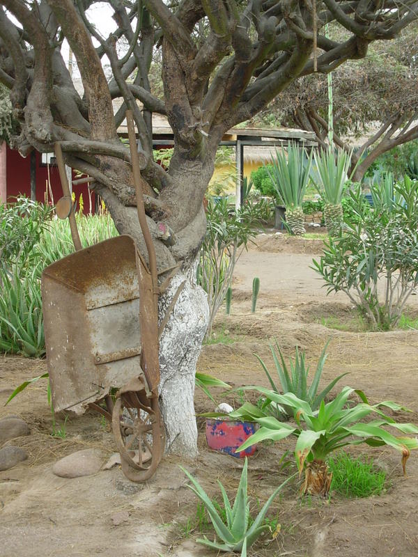 Foto de Arica, Chile