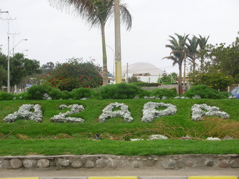 Foto de Arica, Chile