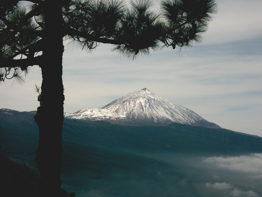 Foto de Tenerife (Santa Cruz de Tenerife), España