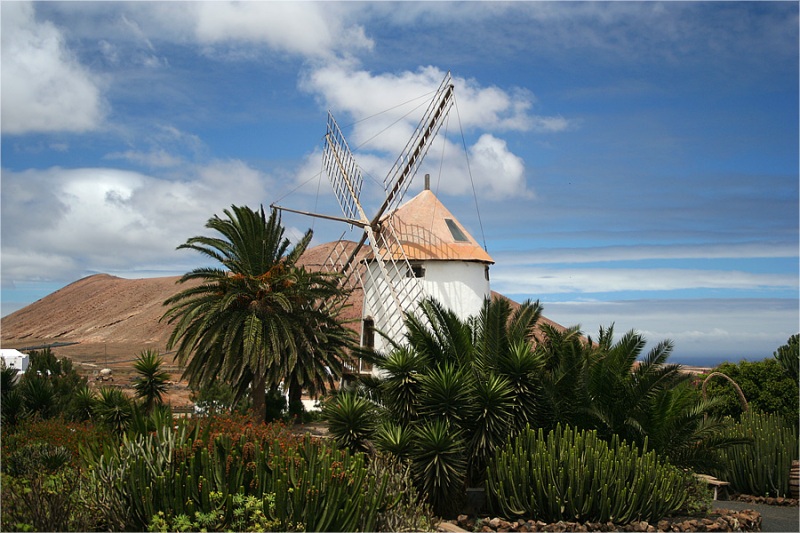 Foto de Lanzarote (Las Palmas), España