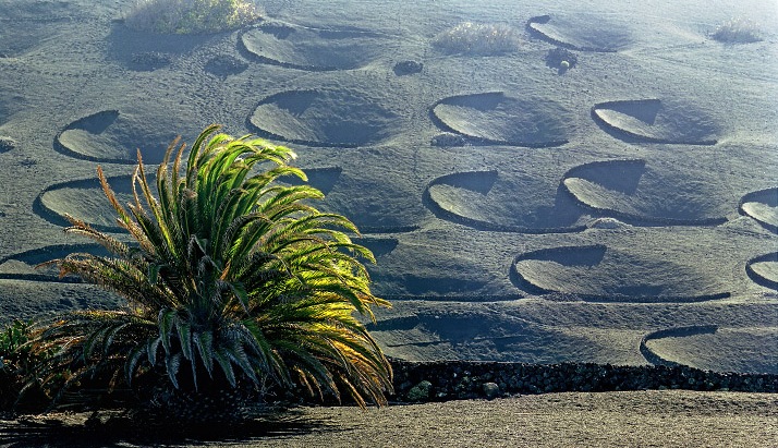 Foto de Lanzarote (Las Palmas), España