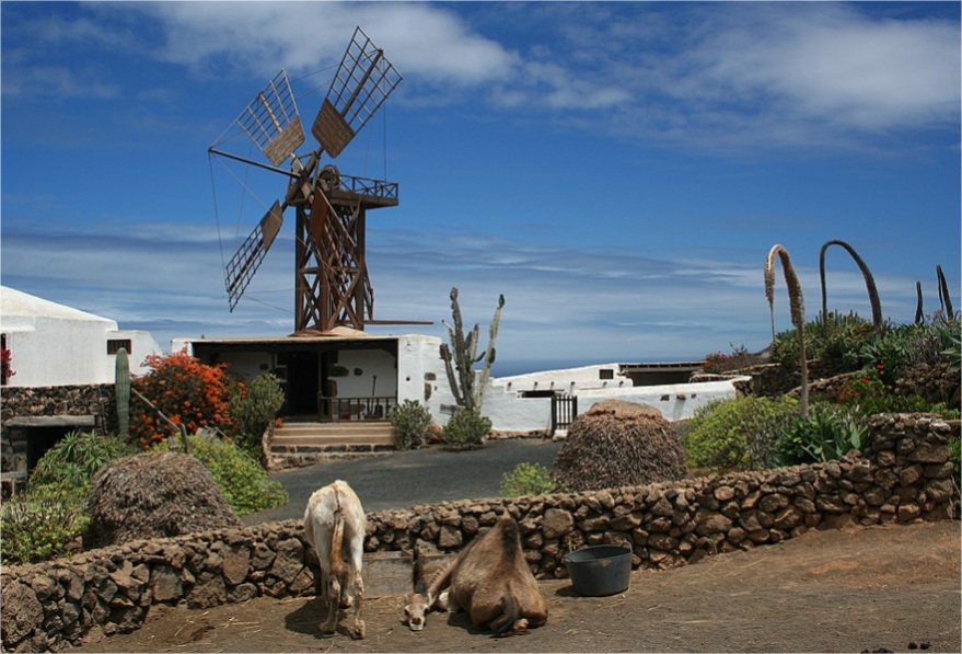 Foto de Lanzarote (Las Palmas), España