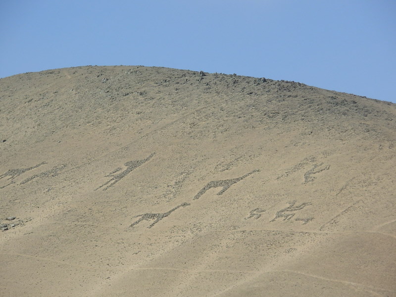 Foto de Arica, Chile