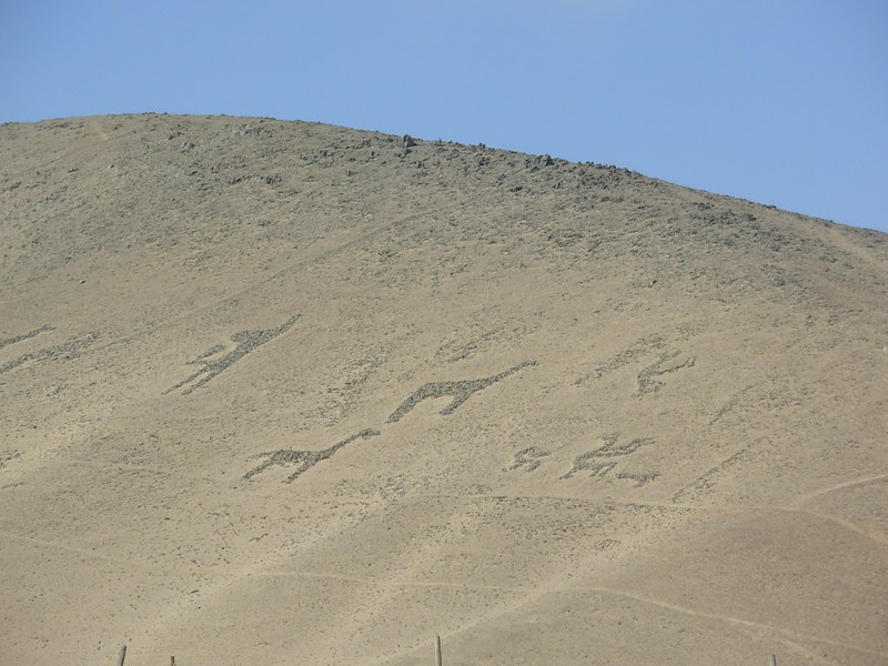 Foto de Arica, Chile