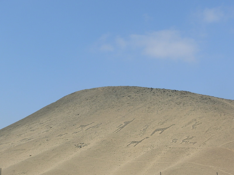 Foto de Arica, Chile