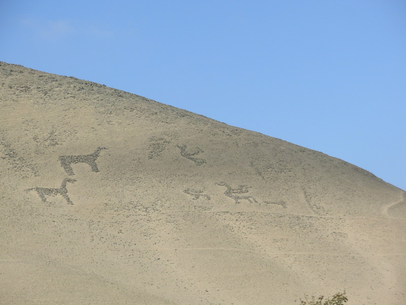 Foto de Arica, Chile