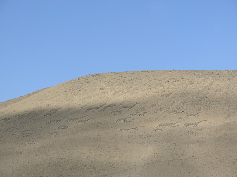 Foto de Arica, Chile