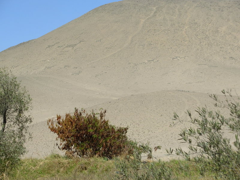 Foto de Arica, Chile