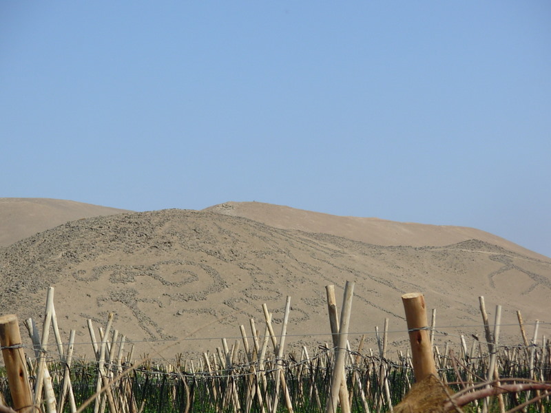 Foto de Arica, Chile